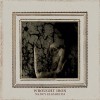 Nancy Elizabeth- Wrought Iron