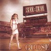 goose-3040