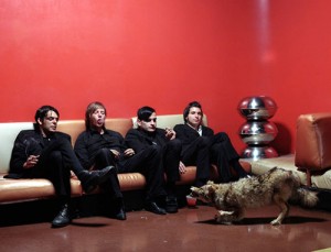 Interpol_volpe
