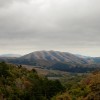 Dirty Projectors-Bjorkrecensione-Mount-Wittenberg-Orca