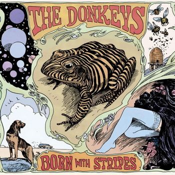 The Donkeys: Born With Stripes