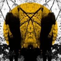 austra-feel-it-break