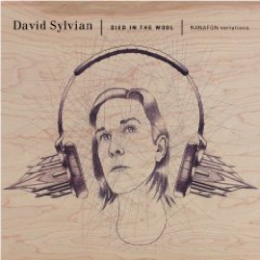 david sylvian died in the wool