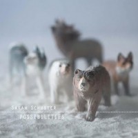 Sarah Schuster- Possibilities