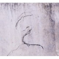 Lunatic Soul- Impressions