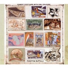 Phantom Buffalo- Cement Postcard With Owl Colours