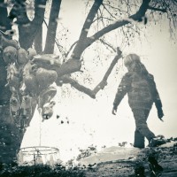 Pierpaolo Lauriola- Polvere