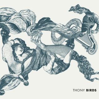 Thony- Birds