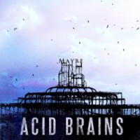 recensione acid brains maybe