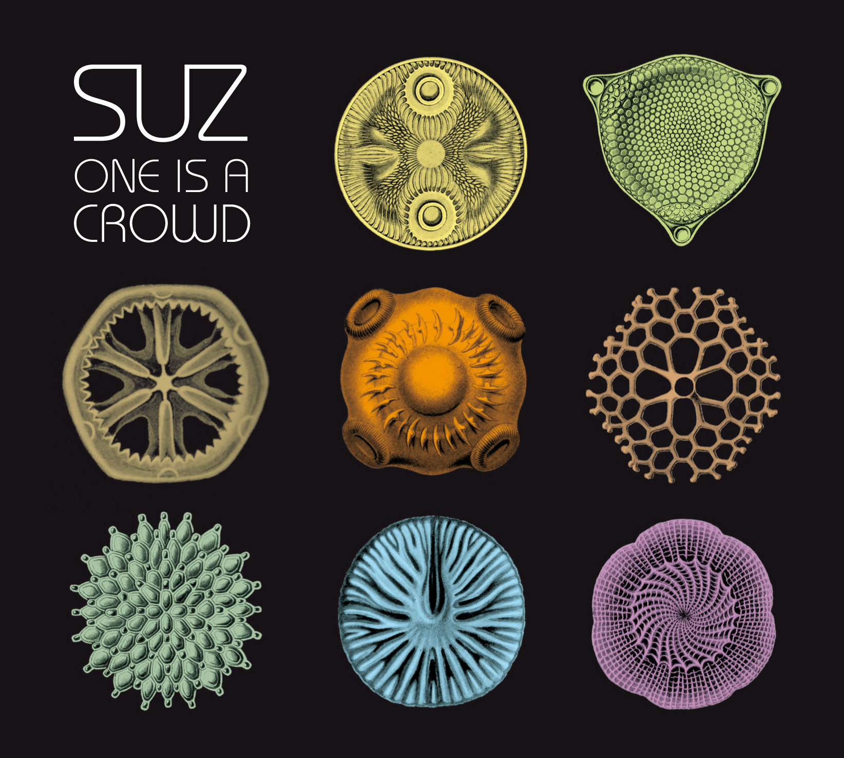 suz-one-is-a-crowd