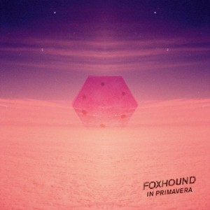 Foxhound- In Primavera