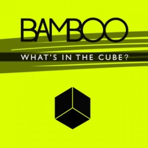 bamboo-what-s-in-the-cube