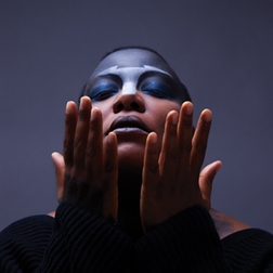 meshell ndegeocello