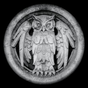 recensione-Monarchy- Abnocto