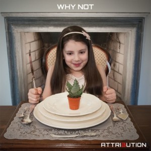 Attribution- Why Not-recensione