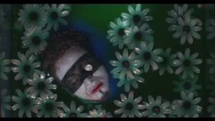 Wonder Vincent- Fiori