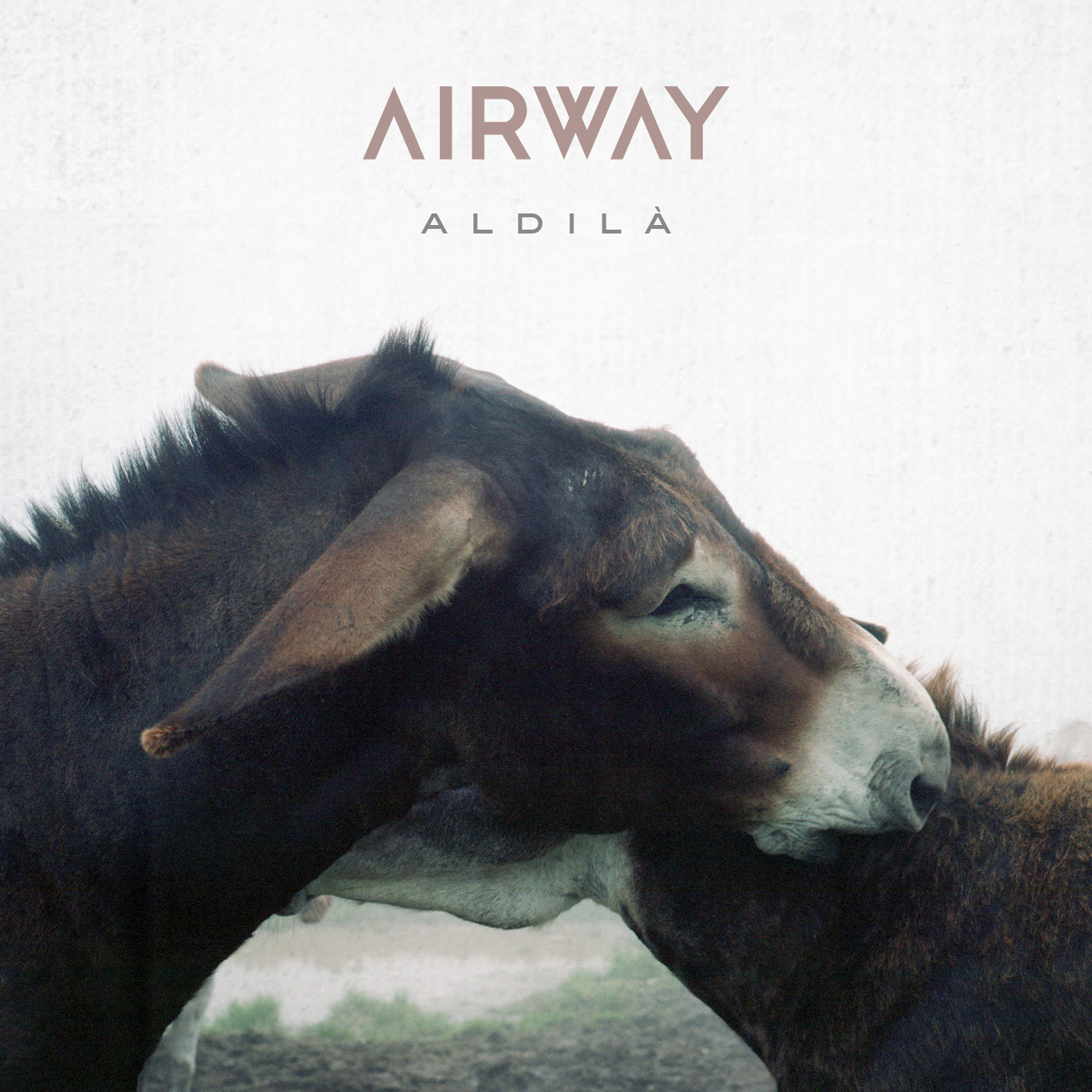 airway_