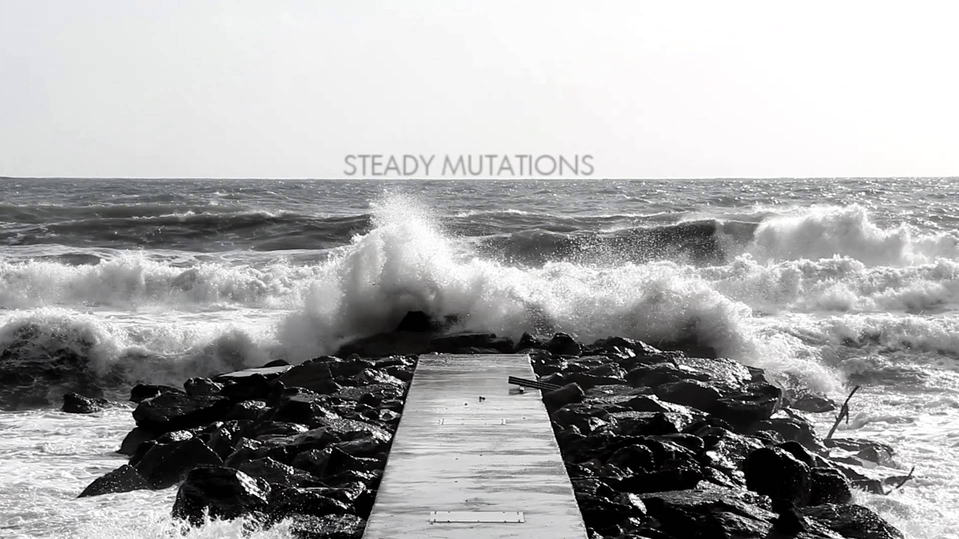 Andrea Presciuttini- Steady Mutations