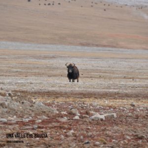 unorsominore Una valle che brucia