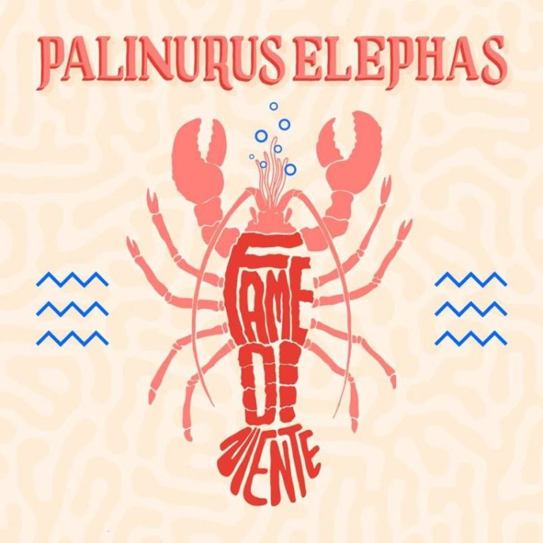 Palinurus Elephas- Fame di Niente