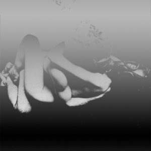 The Veldt - Thanks to the Moth and Areanna Rose (recensione)