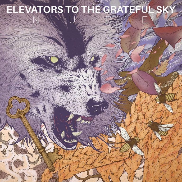 Elevators to the Grateful Sky