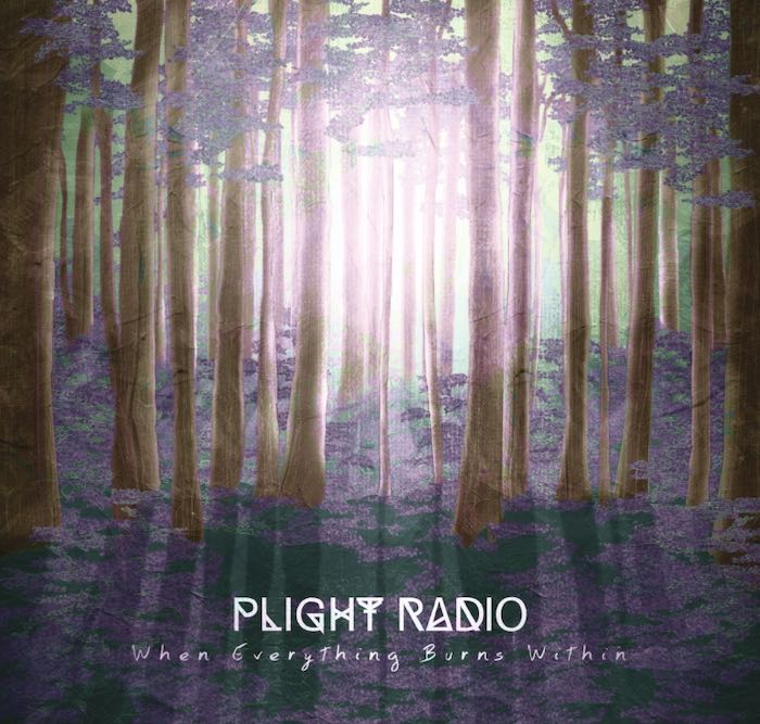 Plight Radio- recensione di When Everythong Burns Within