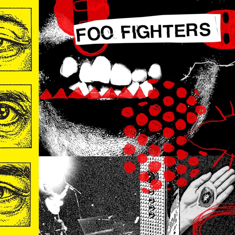 Foo Fighters: Your Favorite Toy